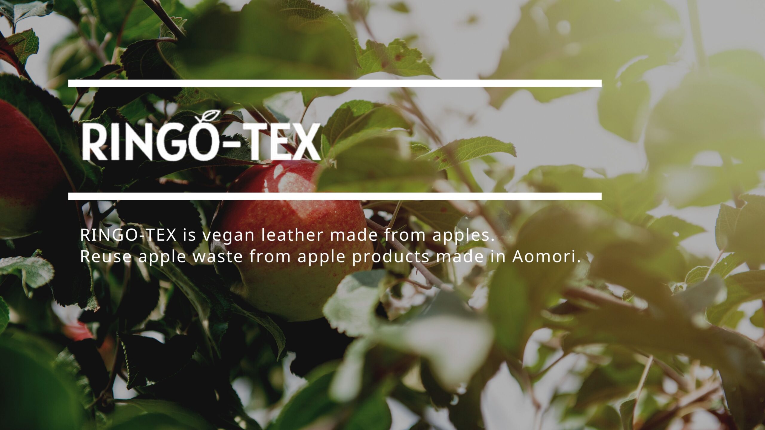 A comparison between Real leather and Vegan leather - appcycle corporation