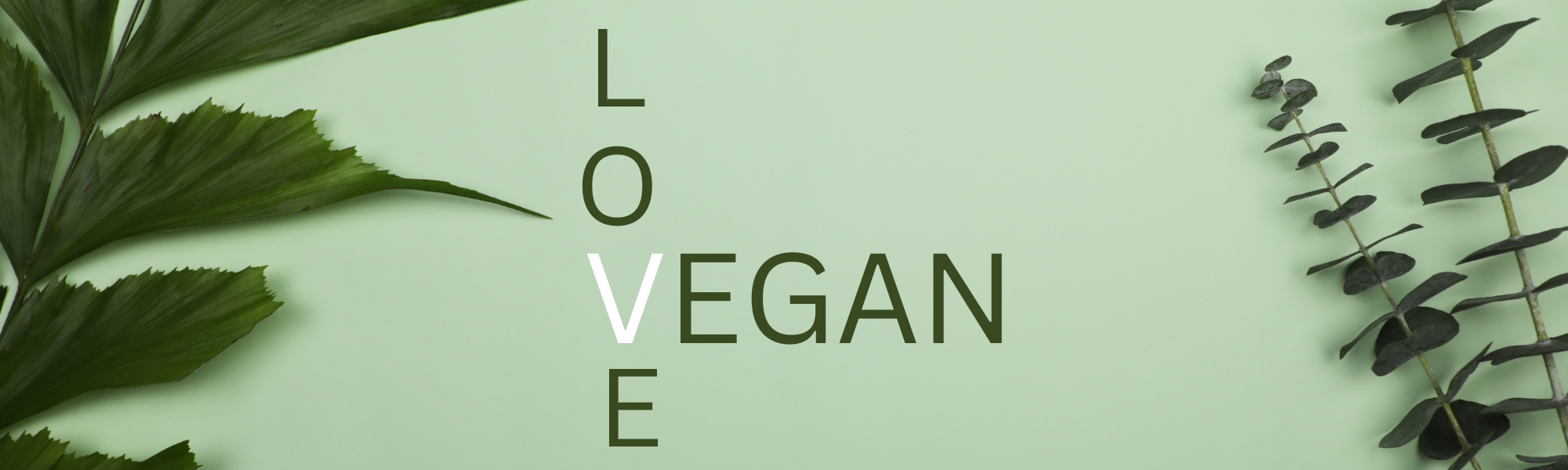 Vegan Leather— Is vegan leather better for the environment? Here’s